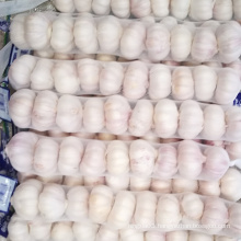 China Wholesale Cheap Price Fresh Normal White Garlic